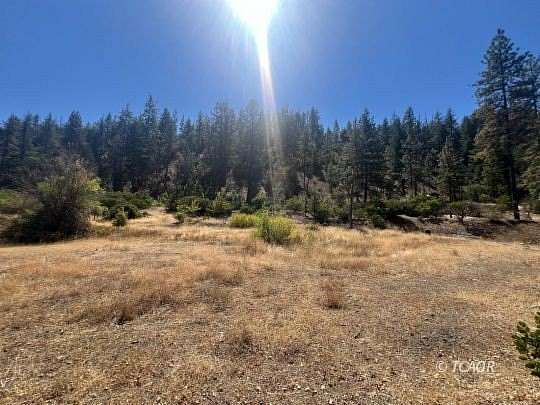 16.83 Acres of Land for Sale in Junction City, California