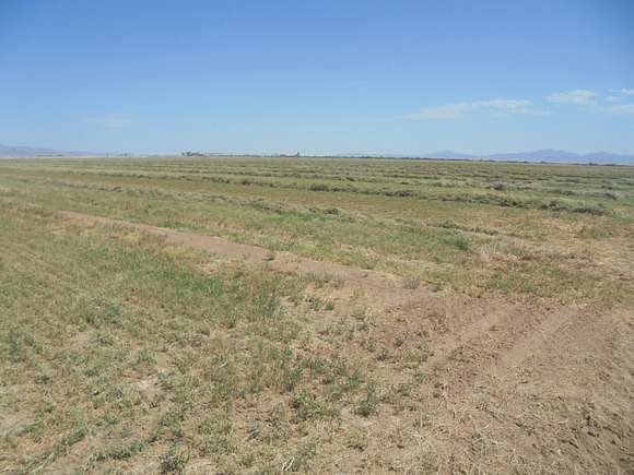 316.44 Acres of Agricultural Land for Sale in Blythe, California