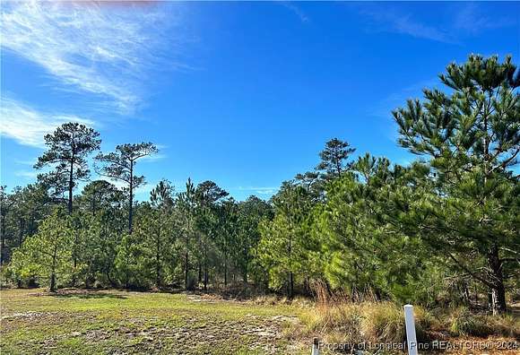 0.88 Acres of Residential Land for Sale in Fayetteville, North Carolina