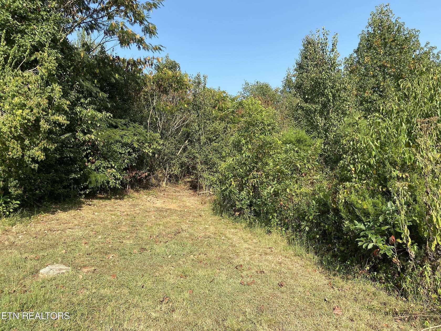 1 Acre of Land for Sale in Maryville, Tennessee