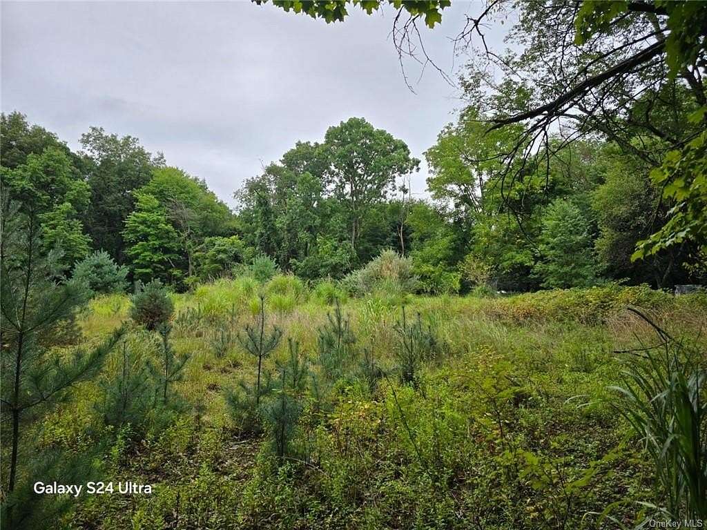 2.01 Acres of Residential Land with Home for Sale in Monsey, New York