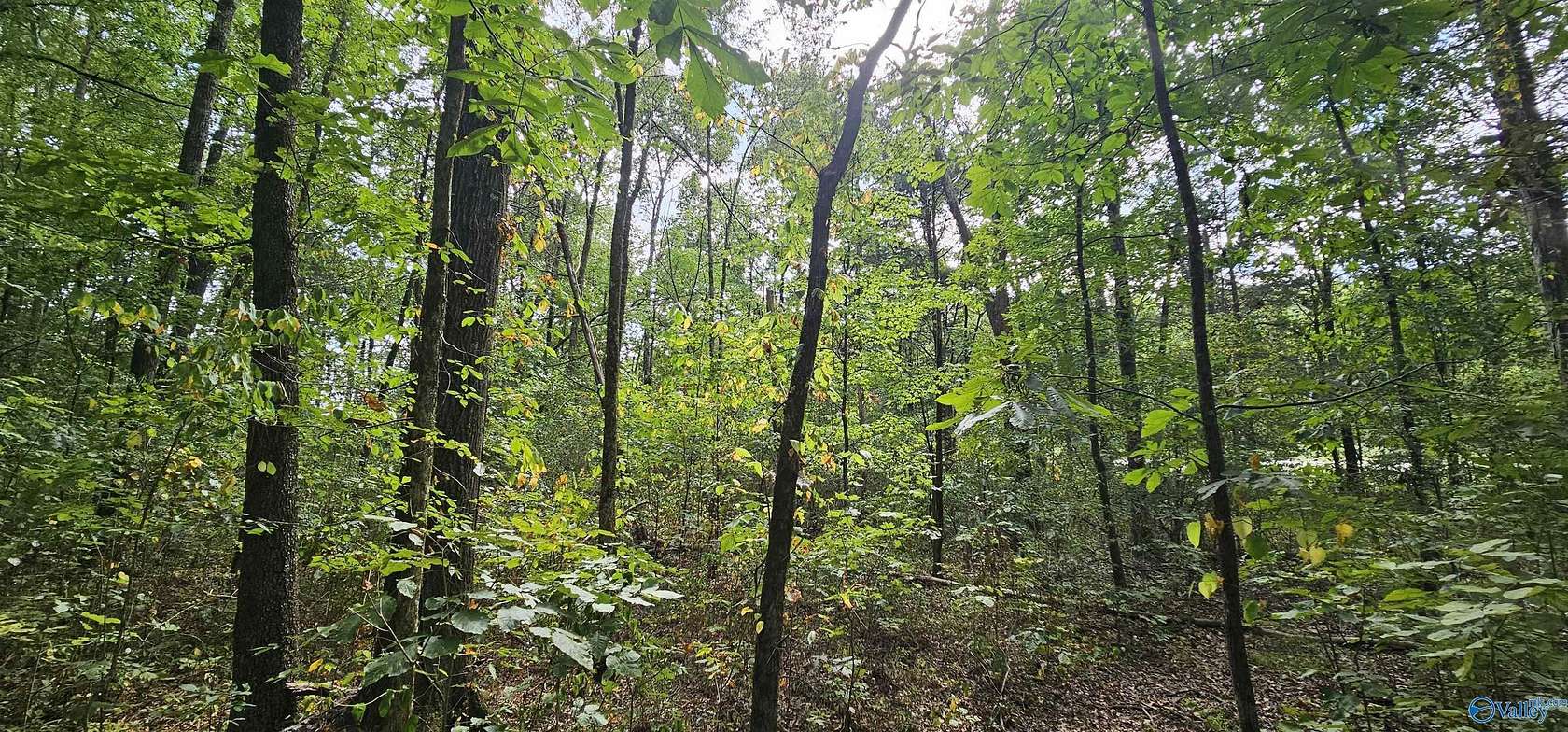 7.82 Acres of Residential Land for Sale in Scottsboro, Alabama