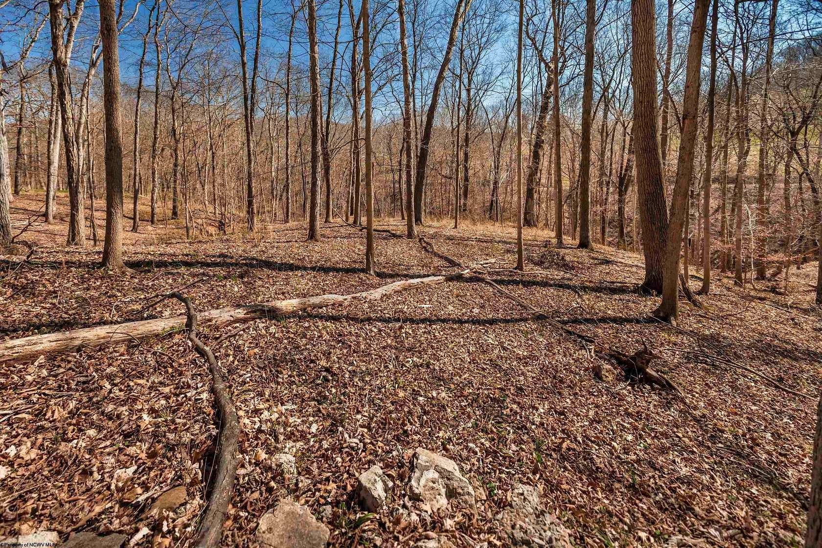 1.3 Acres of Residential Land for Sale in Morgantown, West Virginia