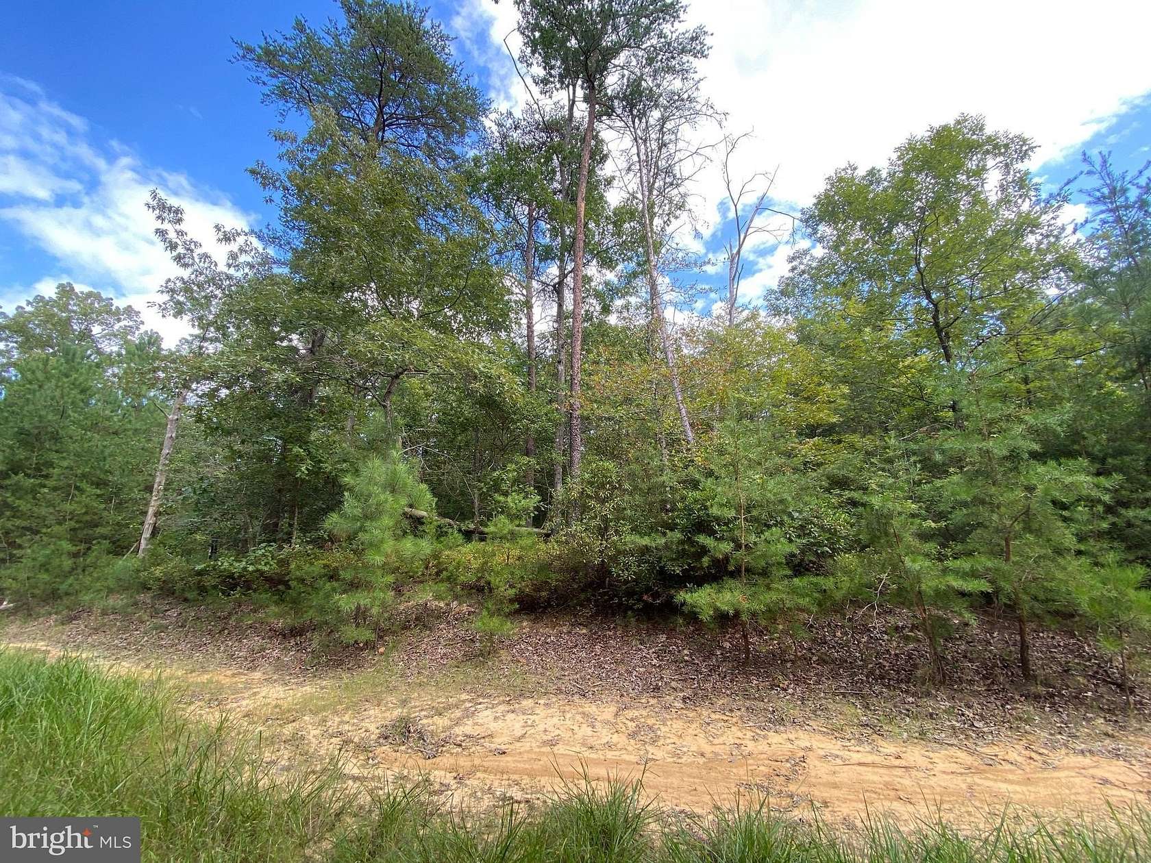 5 Acres of Land for Sale in King George, Virginia