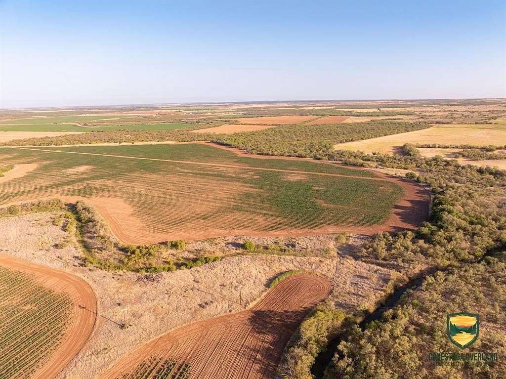 417.8 Acres of Agricultural Land for Sale in Sylvester, Texas