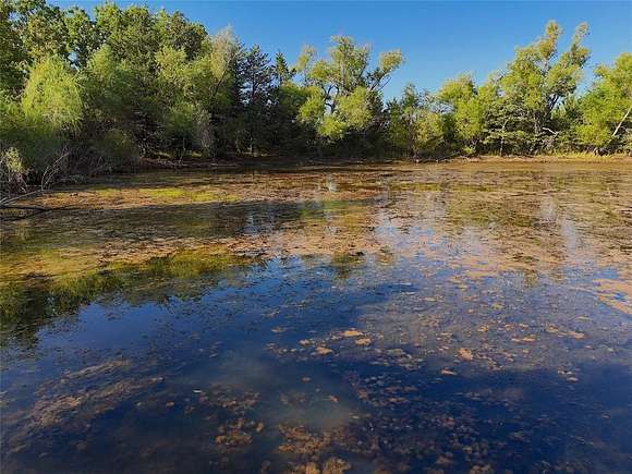 19.27 Acres of Recreational Land for Sale in Honey Grove, Texas