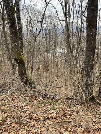 0.75 Acres of Residential Land for Sale in Hixson, Tennessee