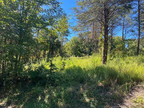 3.02 Acres of Land for Sale in Burkesville, Kentucky