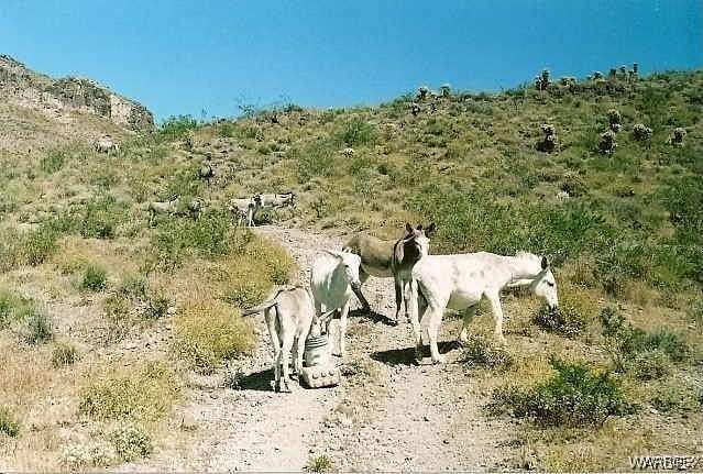 12.44 Acres of Land for Sale in Oatman, Arizona