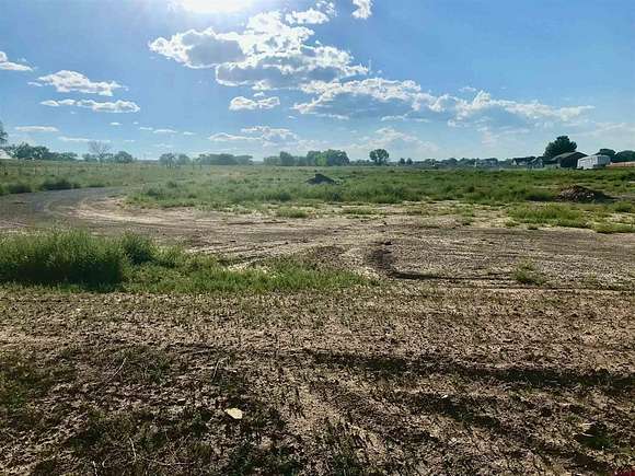 12.24 Acres of Land for Sale in Olathe, Colorado