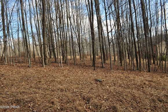 0.41 Acres of Land for Sale in Lake Ariel, Pennsylvania