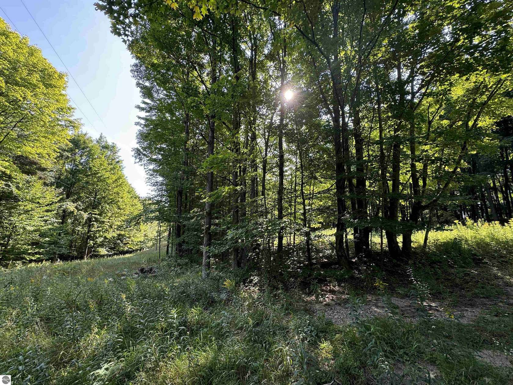 10.1 Acres of Recreational Land for Sale in Tustin, Michigan