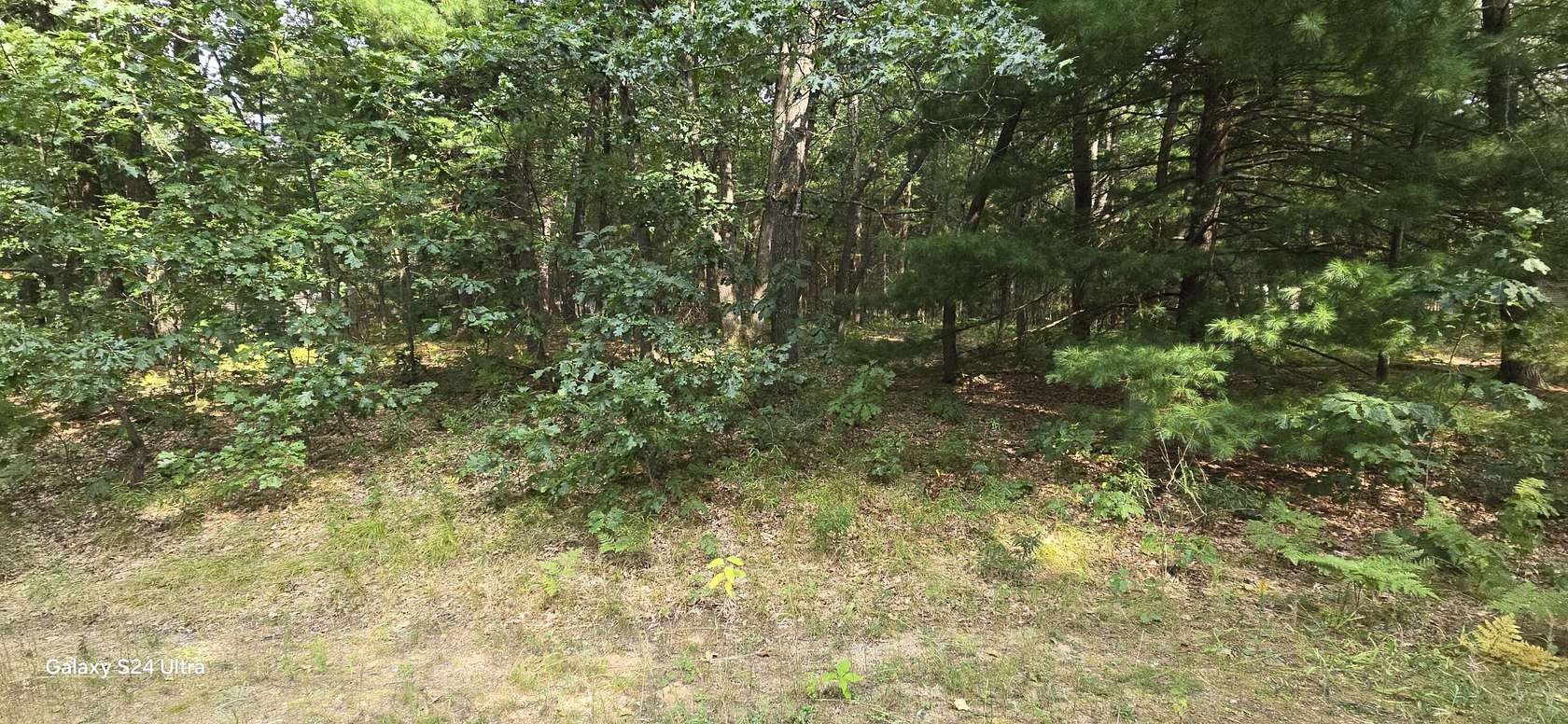 Residential Land for Sale in Houghton Lake, Michigan