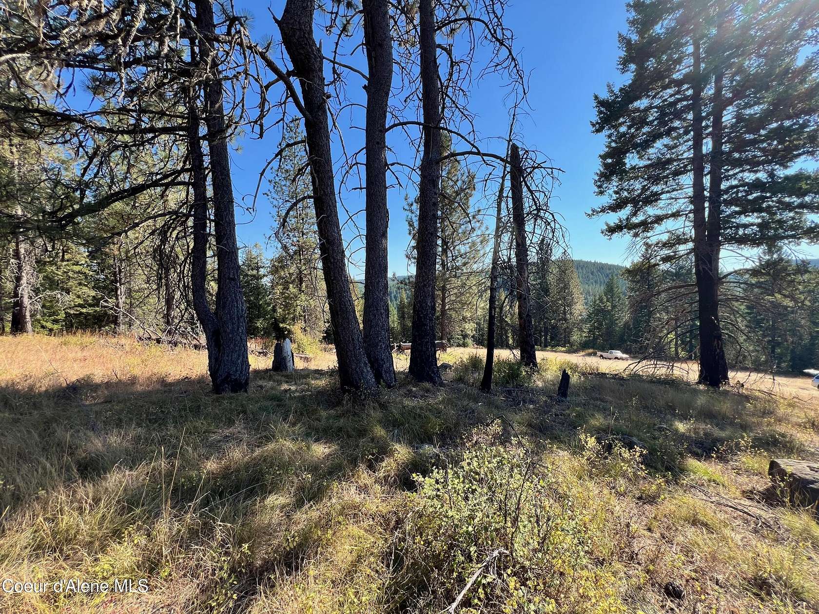 5 Acres of Land for Sale in St. Maries, Idaho