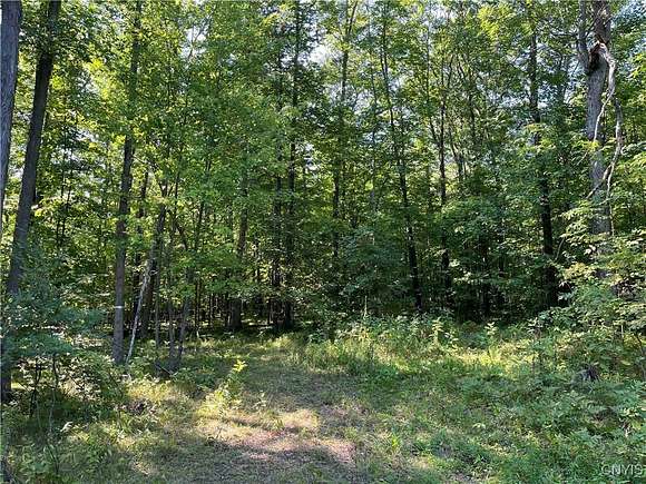 49.9 Acres of Recreational Land for Sale in Grove, New York