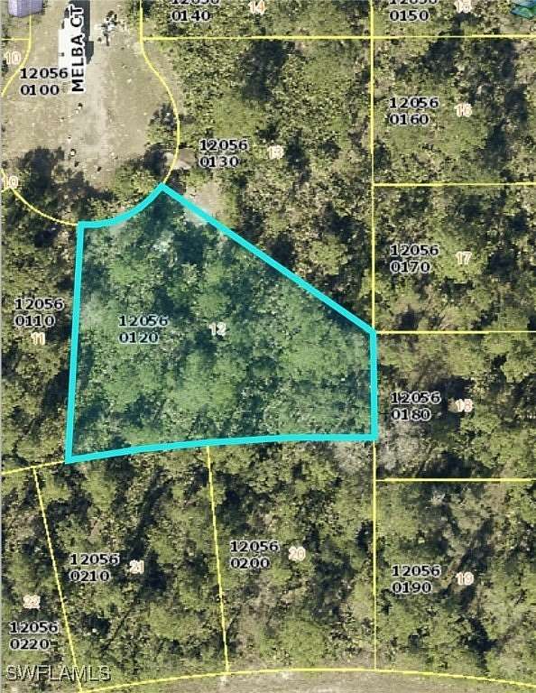 0.395 Acres of Residential Land for Sale in Lehigh Acres, Florida