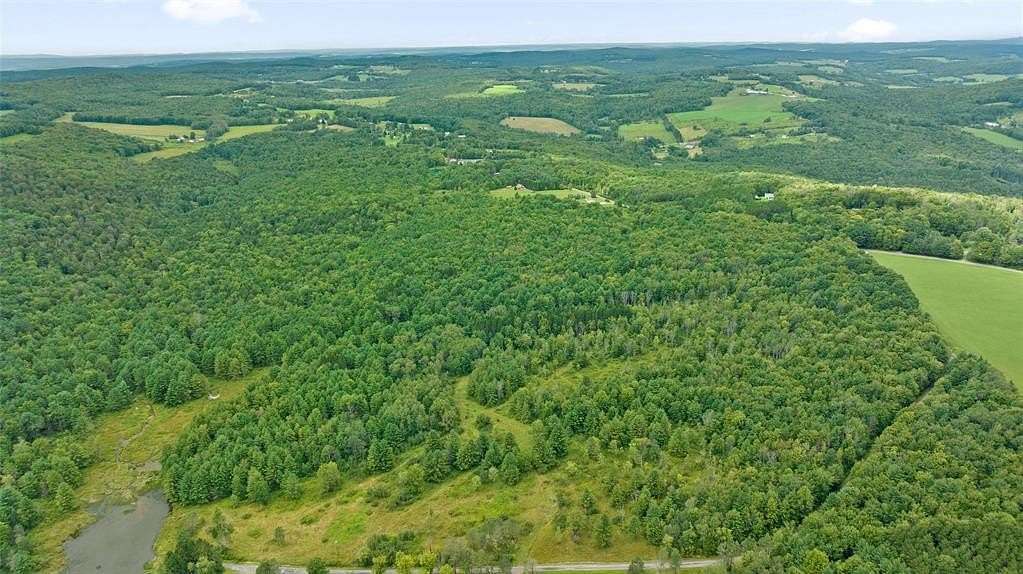 161.6 Acres of Land for Sale in Harpursville, New York