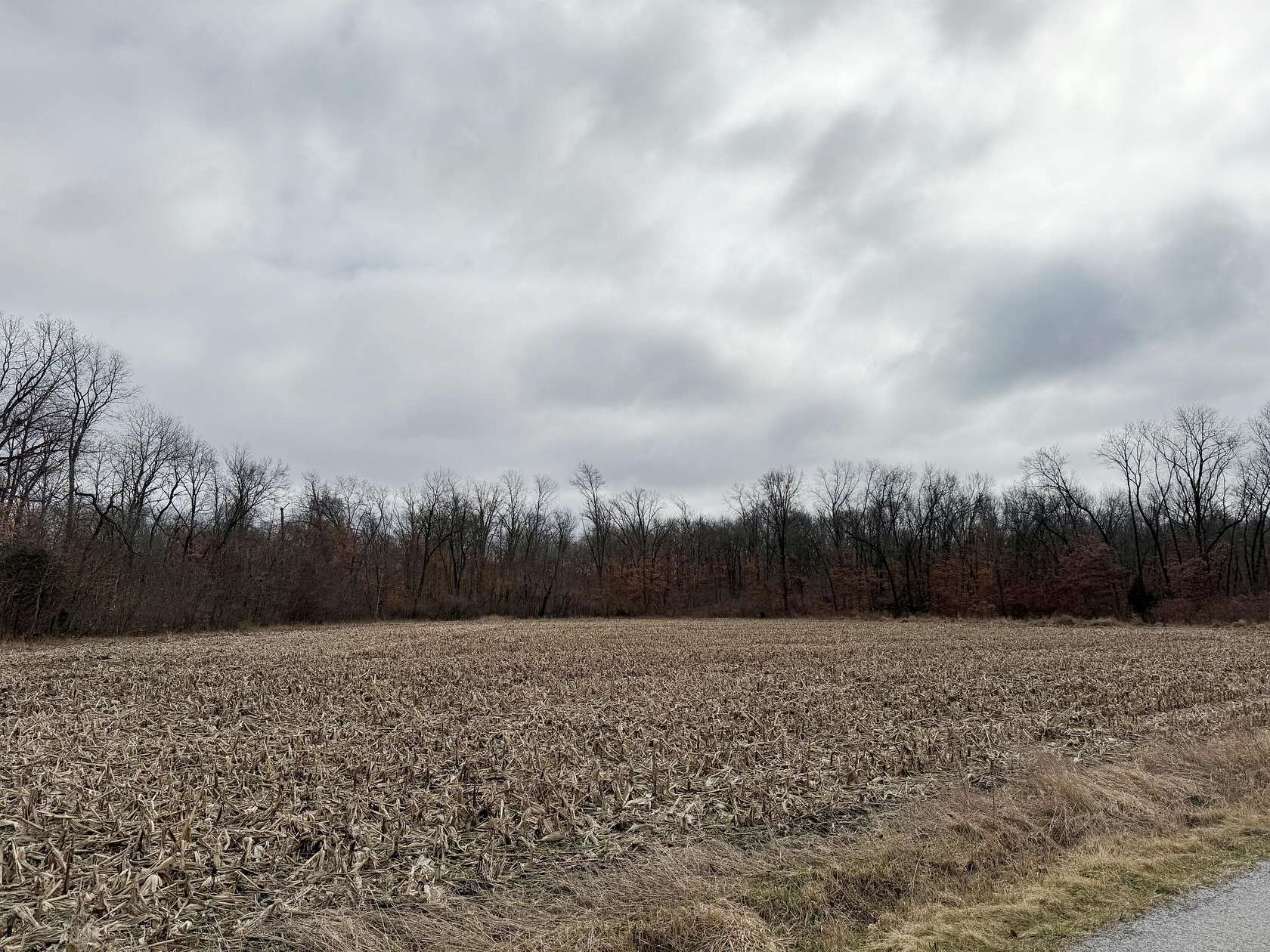 42.436 Acres of Land for Sale in Wheatfield, Indiana