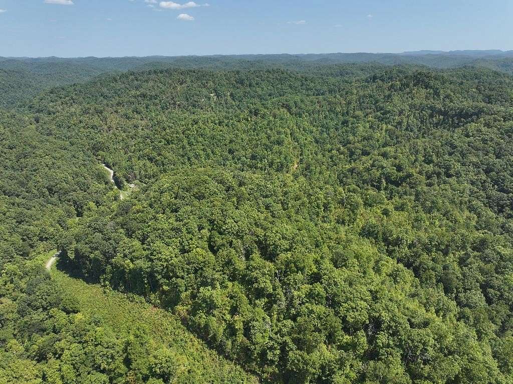 66.66 Acres of Land for Sale in Crum, West Virginia