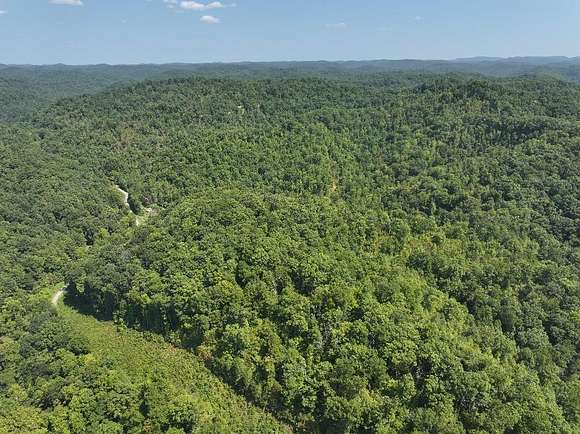 66.66 Acres of Land for Sale in Crum, West Virginia