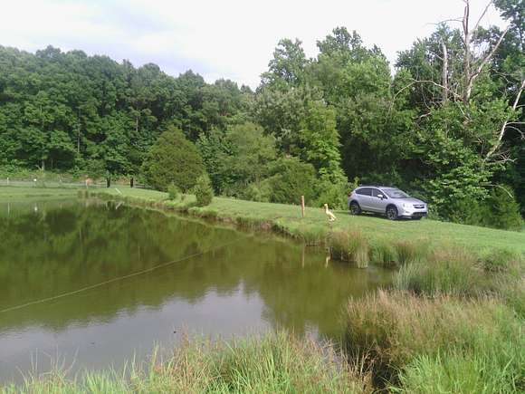 Partial pond with driveway