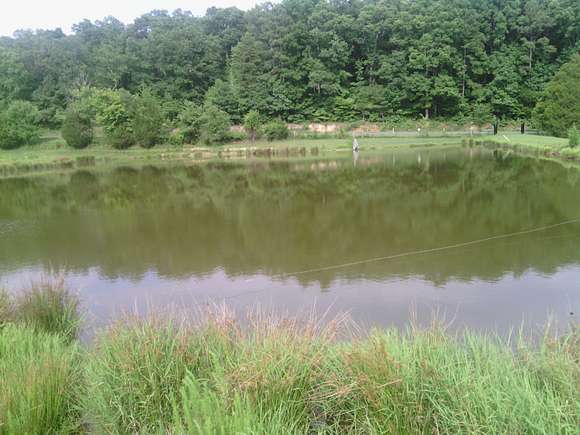 Looking at pond from center of property