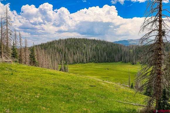 160 Acres of Recreational Land for Sale in Platoro, Colorado