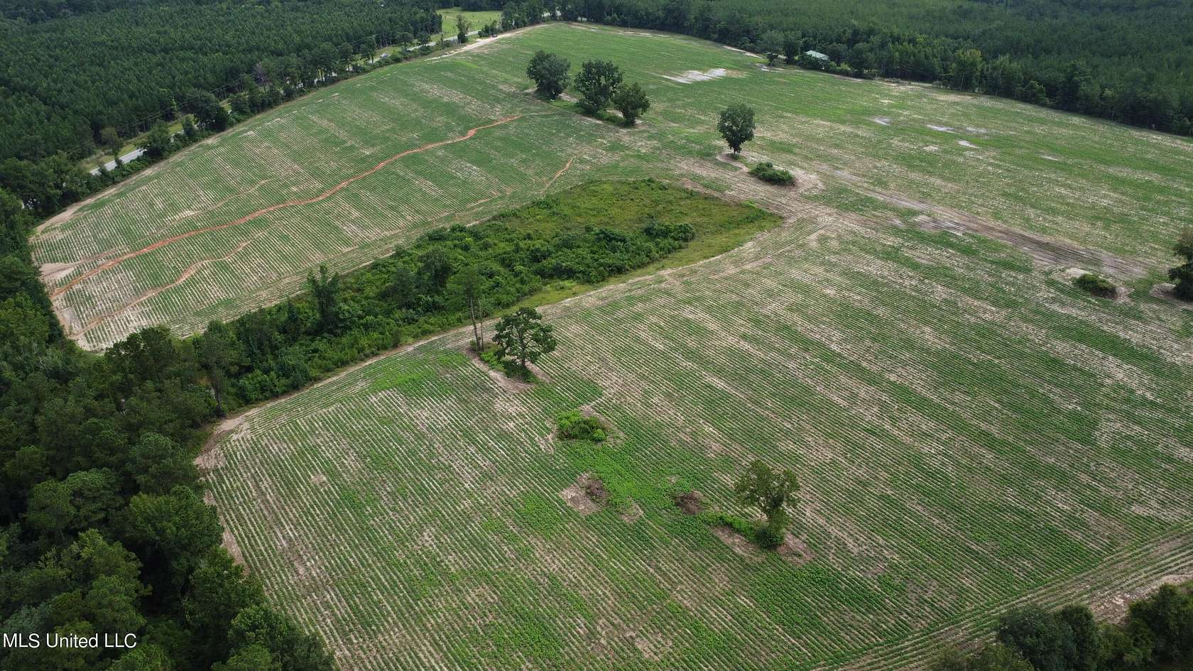 55.5 Acres of Land for Sale in Lucedale, Mississippi