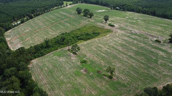 55.5 Acres of Land for Sale in Lucedale, Mississippi