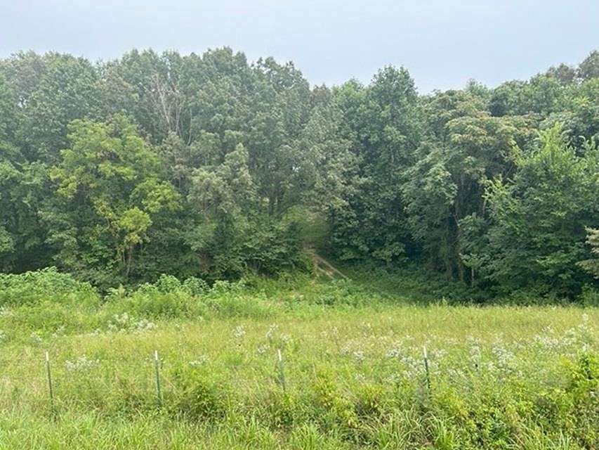 16 Acres of Land for Sale in Scottsville, Kentucky