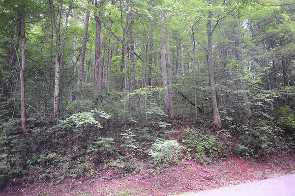 1.25 Acres of Residential Land for Sale in Black Mountain, North Carolina