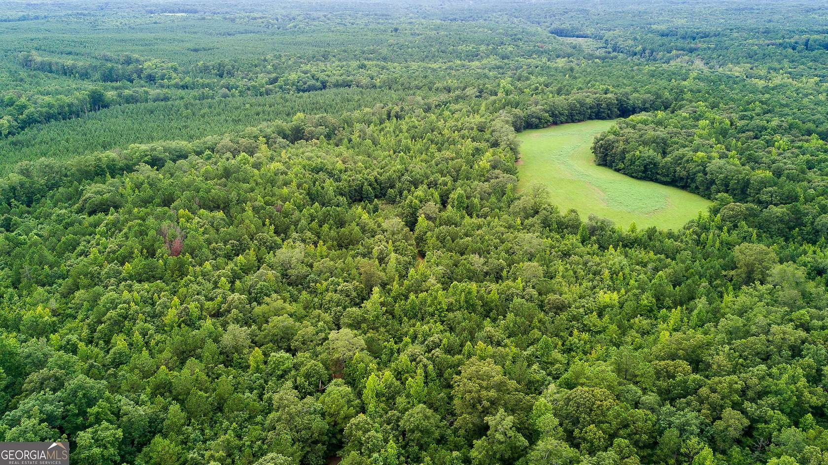 55 Acres of Land for Sale in Pine Mountain, Georgia