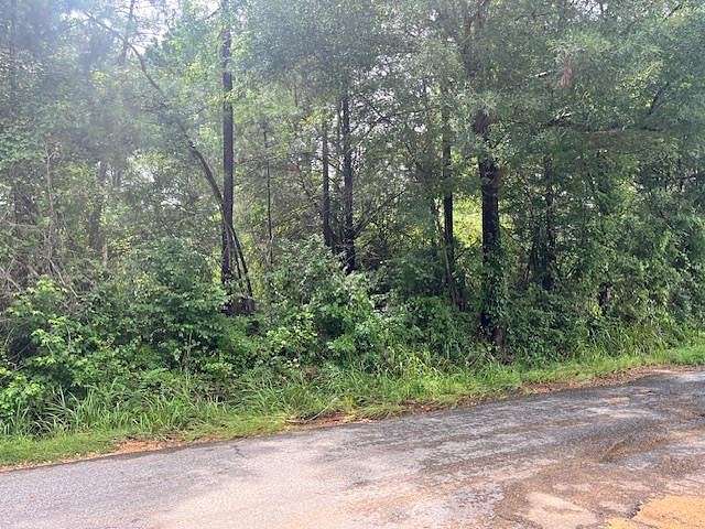 13.4 Acres of Land for Sale in Ruth, Mississippi