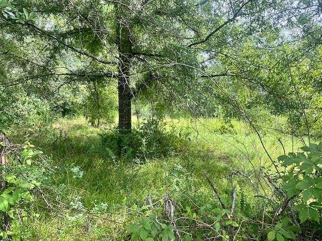 6.53 Acres of Residential Land for Sale in Ruth, Mississippi