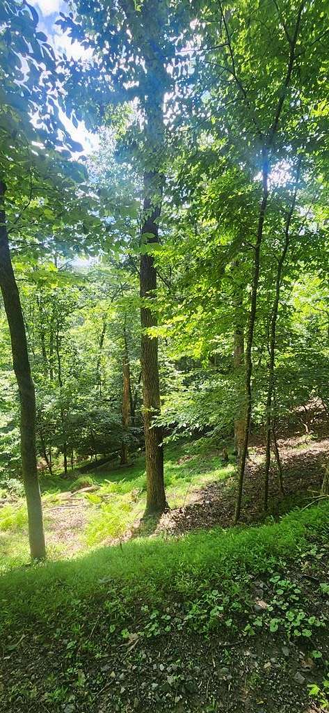 0.51 Acres of Land for Sale in Ellijay, Georgia