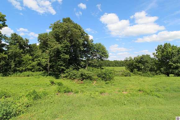 2.77 Acres of Residential Land for Sale in Ledbetter, Kentucky