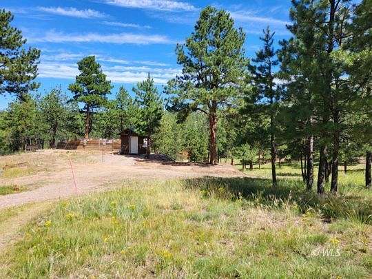 1.56 Acres of Residential Land for Sale in Westcliffe, Colorado