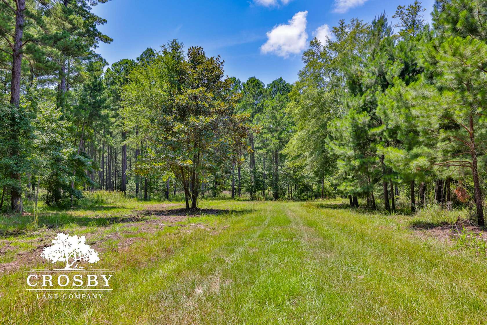 196 Acres of Recreational Land & Farm for Sale in Ridgeland, South Carolina