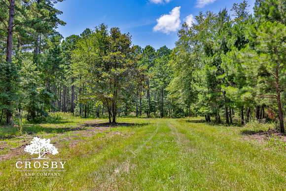 196 Acres of Recreational Land & Farm for Sale in Ridgeland, South Carolina