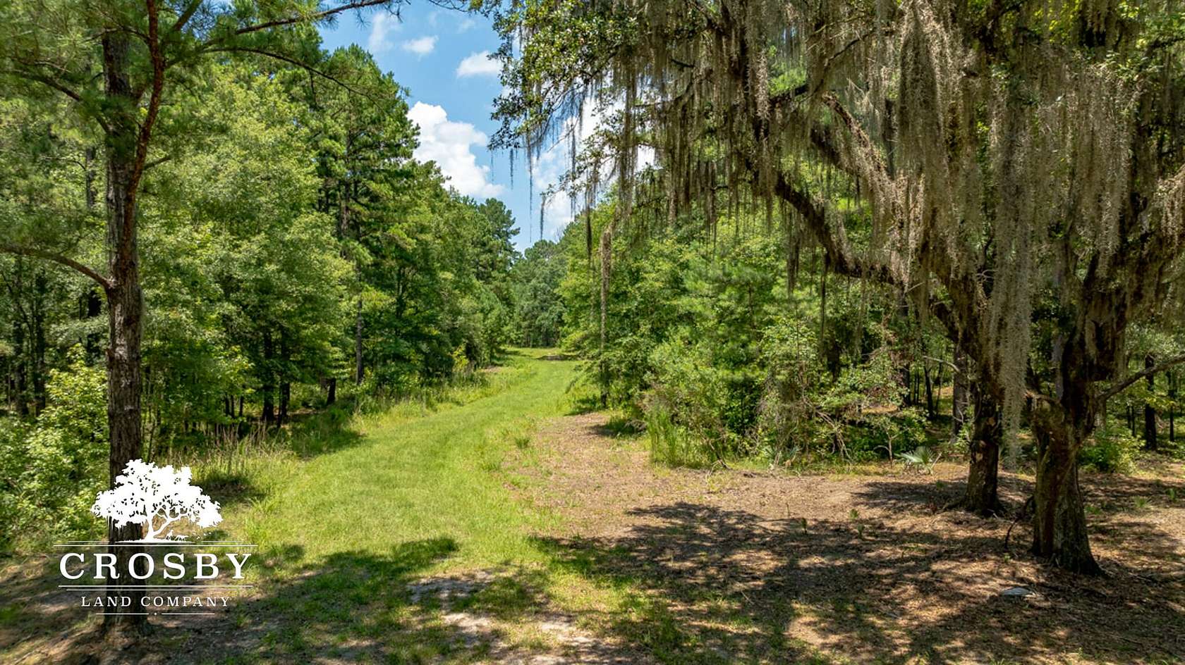 234 Acres of Recreational Land & Farm for Sale in Ridgeland, South Carolina