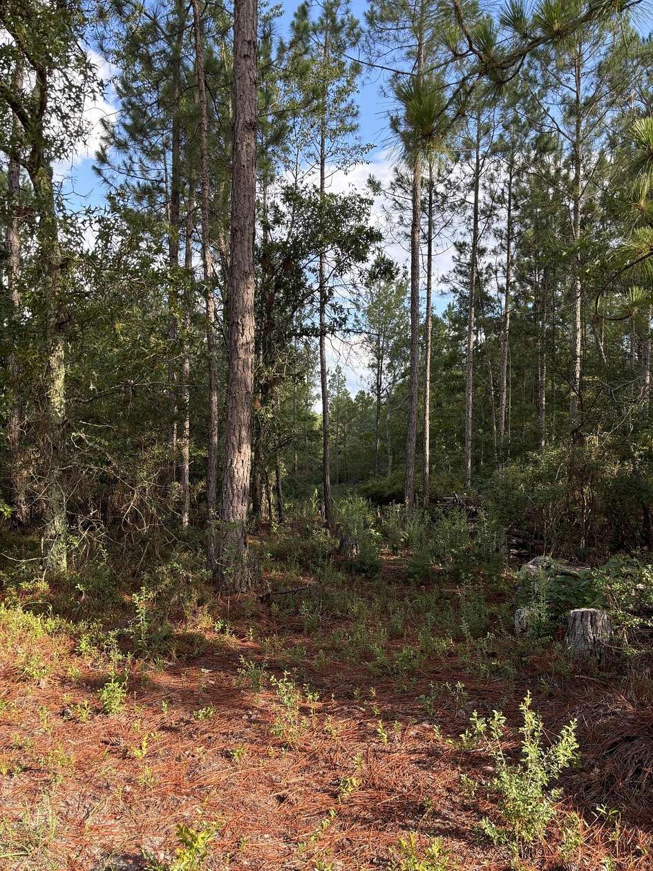 10 Acres of Agricultural Land for Sale in Monetta, South Carolina