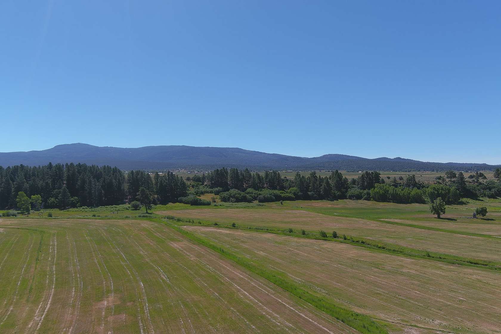 152 Acres of Agricultural Land for Sale in Los Ojos, New Mexico