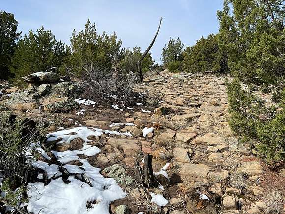 35.95 Acres of Recreational Land for Sale in Walsenburg, Colorado