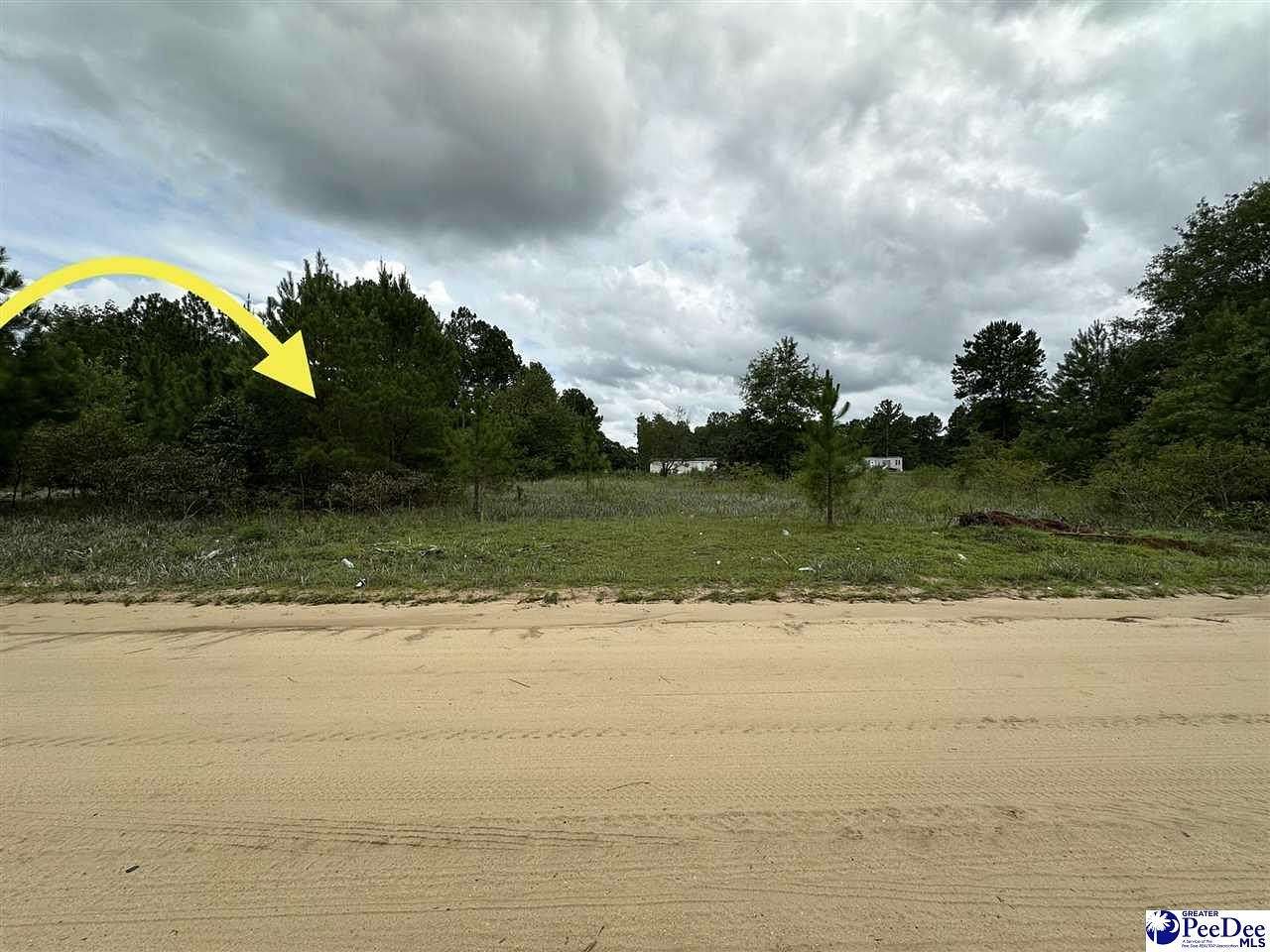 0.69 Acres of Residential Land for Sale in Dillon, South Carolina