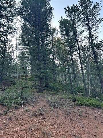 1 Acre of Land for Sale in Divide, Colorado