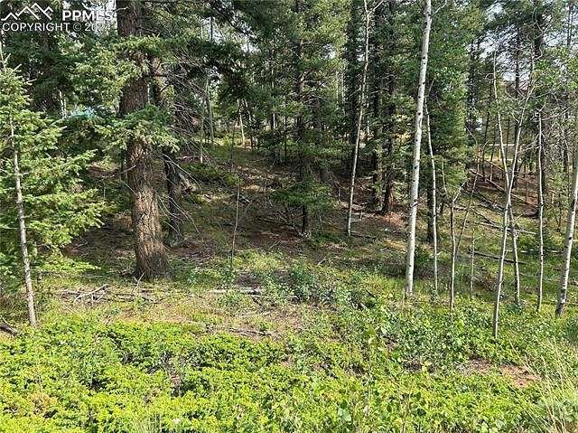 0.46 Acres of Residential Land for Sale in Florissant, Colorado