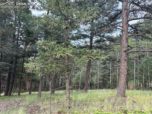 0.58 Acres of Residential Land for Sale in Florissant, Colorado