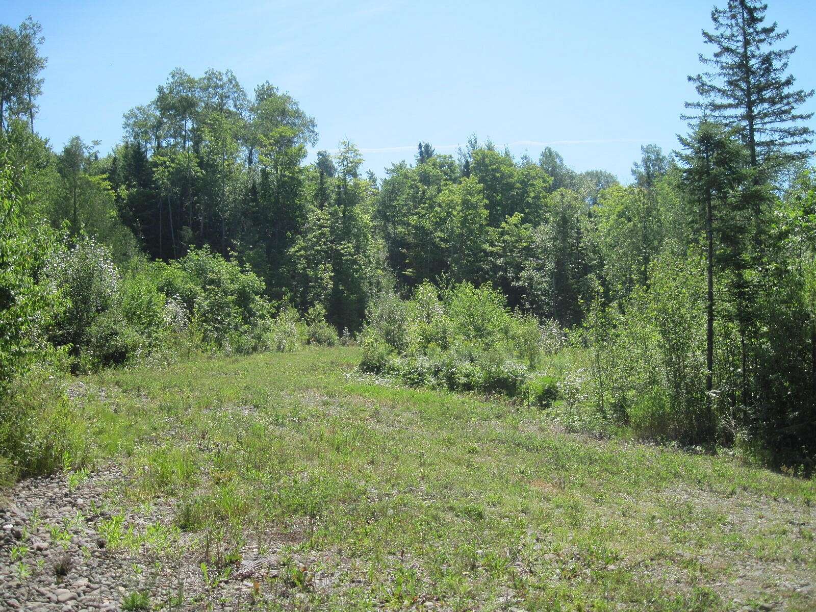 18.5 Acres of Land for Sale in Chapman, Maine