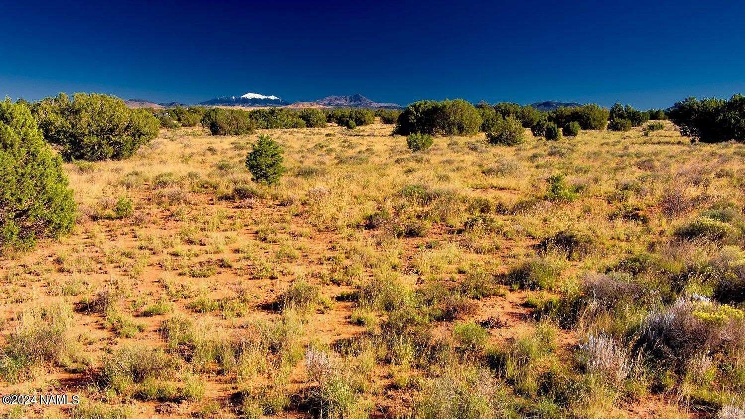 1 Acre of Land for Sale in Williams, Arizona