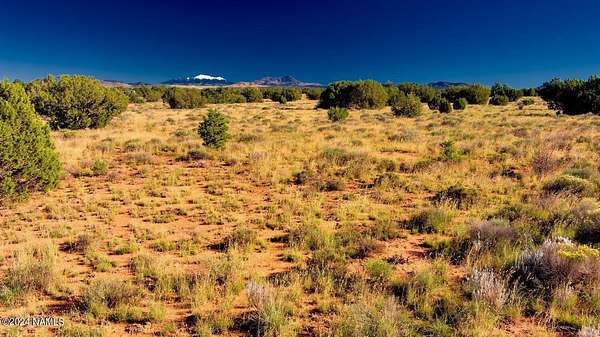 1 Acre of Land for Sale in Williams, Arizona